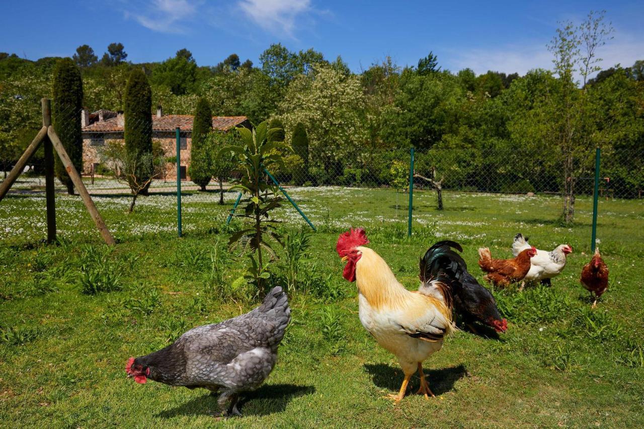 El Celler - Can Bonet Sant Marti Vell Luaran gambar